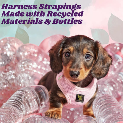 Teacup Dog Harness 💗 XXS Soft Mesh Step‑In Vest – No‑Pull Halter for Toy Breeds