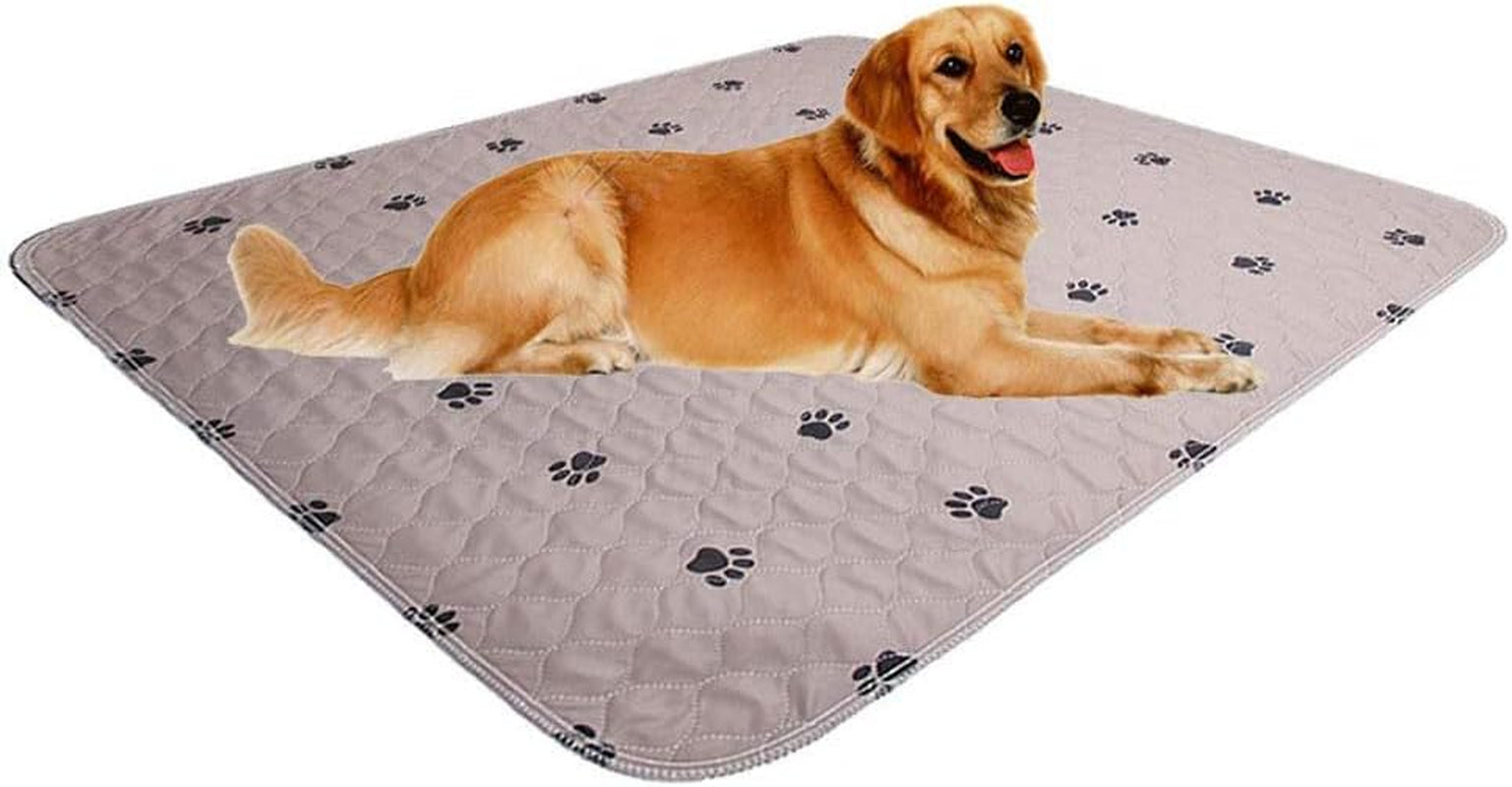 Washable Dog Pee Pads 🐾💧 Waterproof, Non‑Slip, Reusable 4‑Layer Mat (2‑Pack)