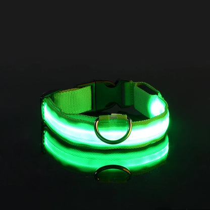 Illuminate Your Dog's Walks: Glow in the Dark Nylon LED Leash & Collar for Ultimate Night Safety