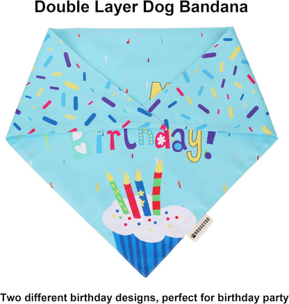 Blue Dog Birthday Bandana, Party Hat & Bow Tie Set for Medium/Large Pups 🎂🐾