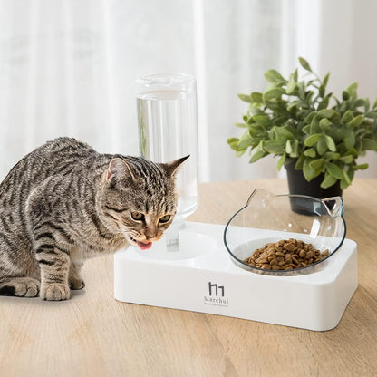 🐶🐱✨ Double Elevated Dog & Cat Bowl Set — 15° Tilted Raised Dishes (Indoor, Small/Medium Pets)