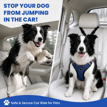 Adjustable 2-Pack Cute Dog Seat Belt Leash for Safe Car Travel
