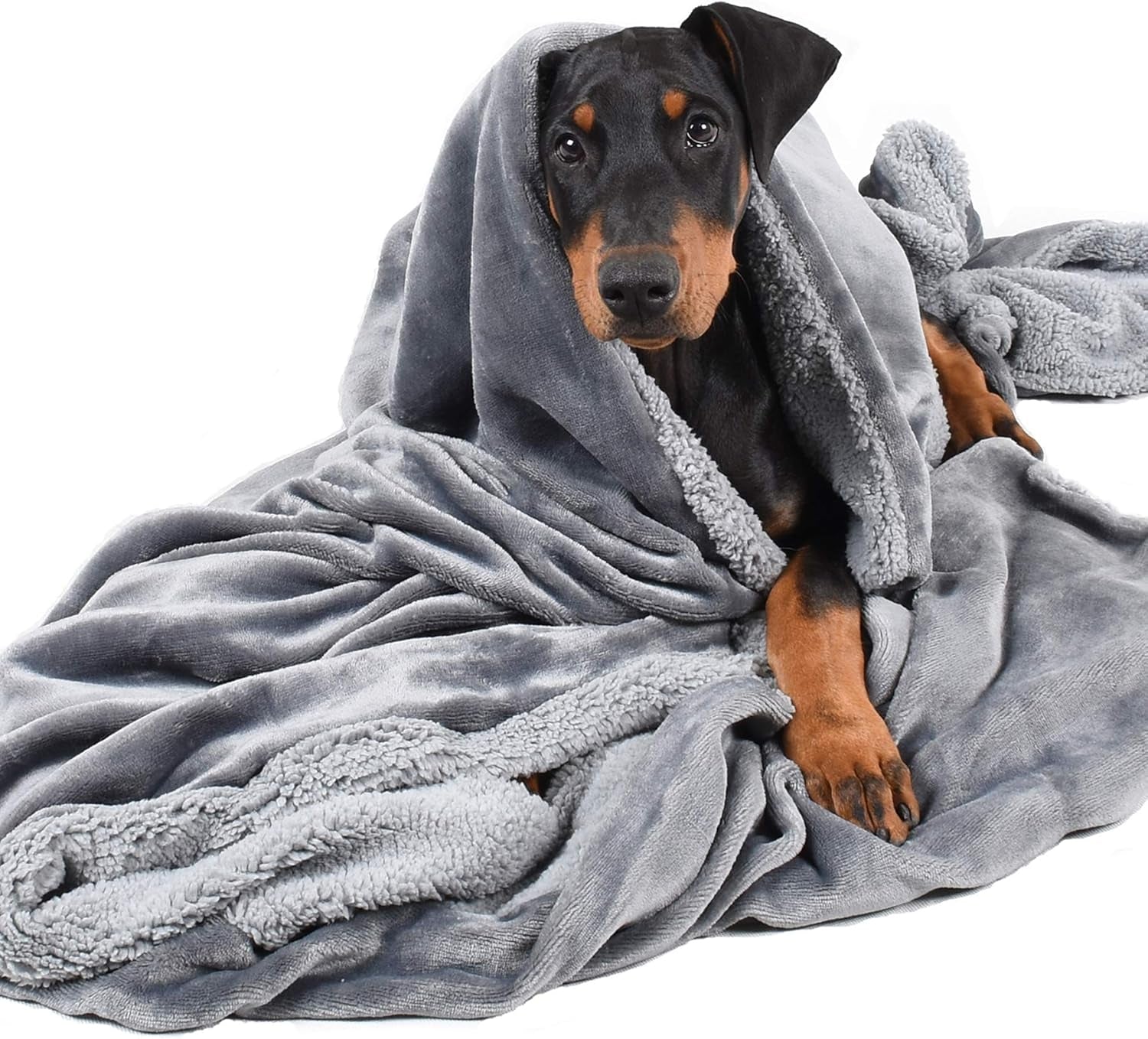 Luxury Black Fleece Dog Blanket for Large Dogs - Soft, Washable, Perfect for Couch, Sofa, Car Seats & Beds - 50x60 Inches