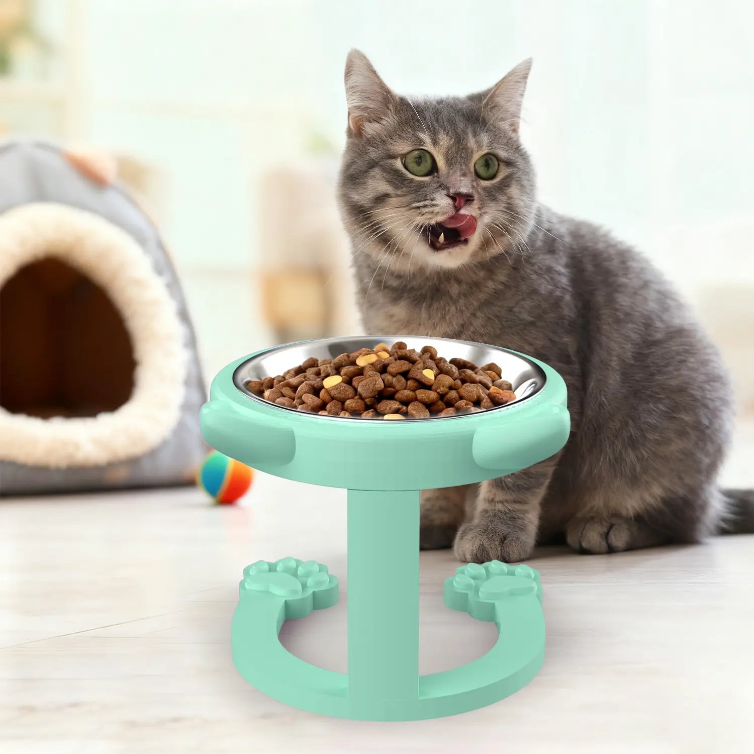 Elevated Stainless Steel Cat Bowl with Anti-Slip Stand - Whisker Friendly Feeder for Senior Cats and Small Puppies - Easy Clean & Portable Design