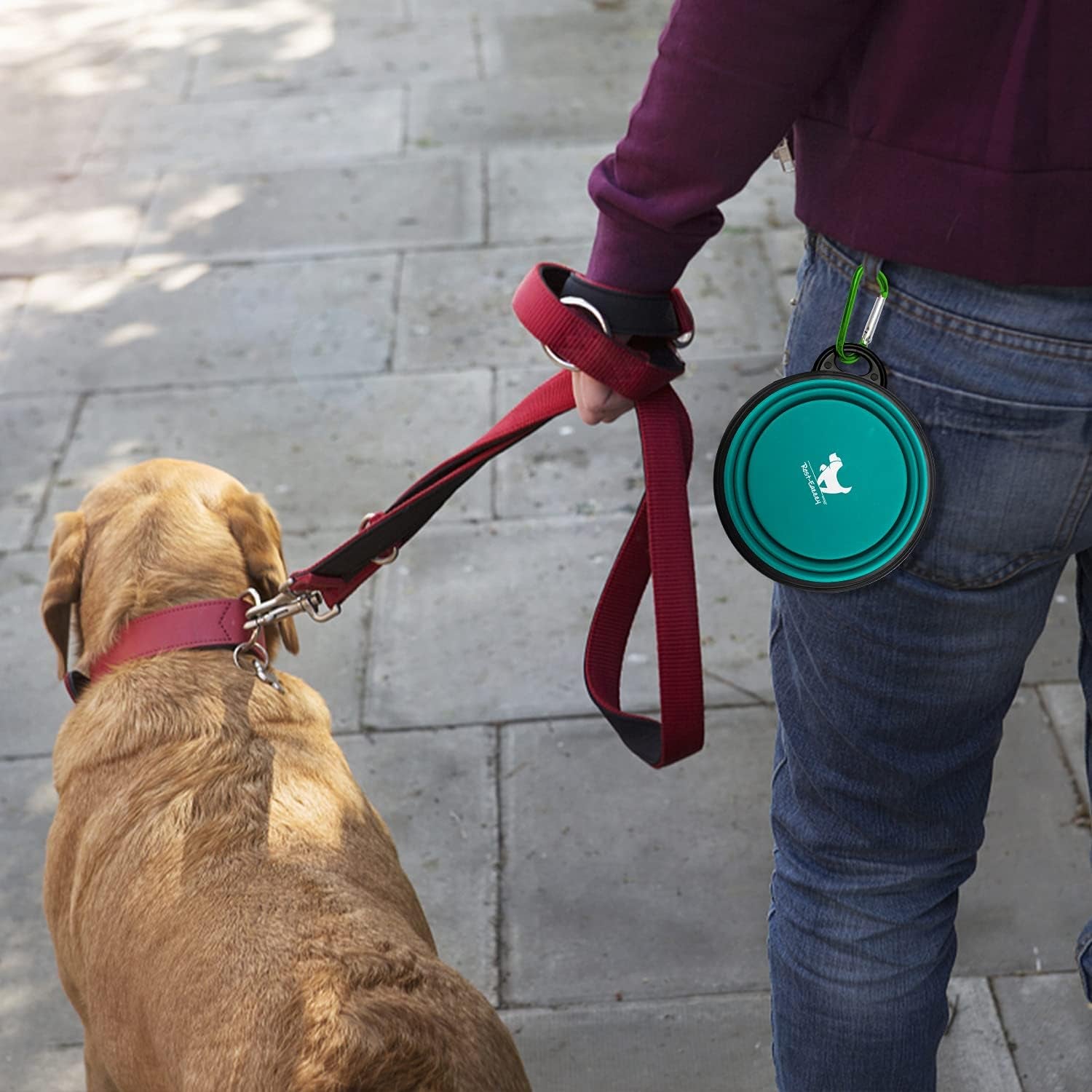 Collapsible Silicone Dog Bowl 🐾🥣 BPA‑Free Travel Bowl w/ Clip – Portable & Durable