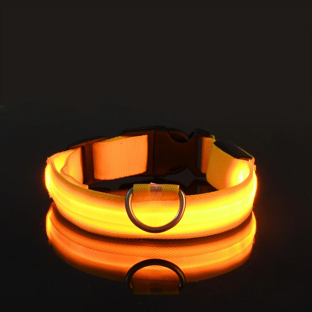Illuminate Your Dog's Walks: Glow in the Dark Nylon LED Leash & Collar for Ultimate Night Safety