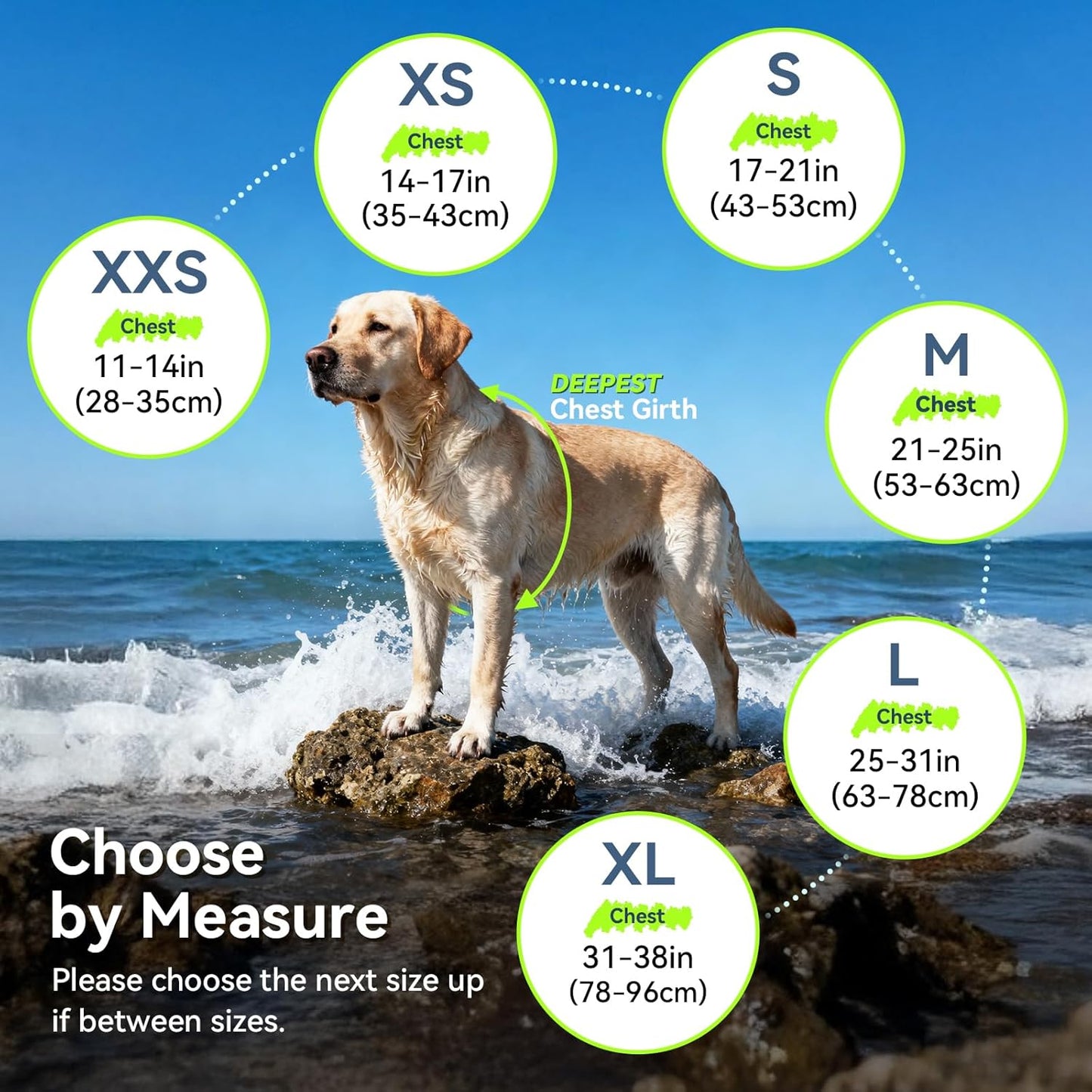 🐶🌊 Rip‑Stop Dog Life Vest — Medium, Blue | Buoyant, Safe & Swim‑Ready with Handle