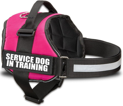 ❤️🐾 Service Dog in Training Vest Harness — Durable, Adjustable, Reflective (Small 19.5"–25")