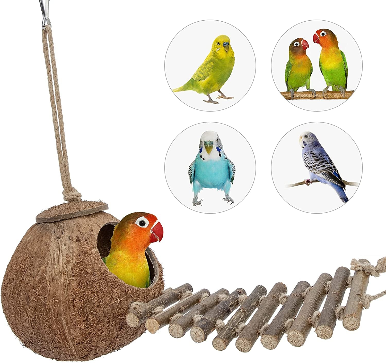Natural Coconut Hideaway with Ladder - Perfect Toy for Birds and Small Animals!