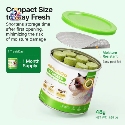 Say goodbye to hairballs and hello to purr-fect digestion with Pawfirst Freeze-Dried Cat Grass Treats! 🐾🐱 Chicken-flavored crunchy bites packed with natural barley grass and plant fiber for a happy, shiny fur baby! 🌿✨ #CatTreats #HealthyCats #FurShine
