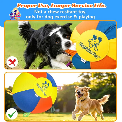 Unleash Adventure with the Ultimate Herding Ball for Your Aussie! Perfect for Energetic Play, Exercise, and Mental Stimulation!