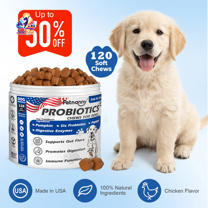Boost Your Dog's Gut Health with Petnanny Probiotics! 🐾🍗 120 Tasty Soft Chews for Happy Tummies & Strong Immunity!💪 #PetNanny #DogHealth