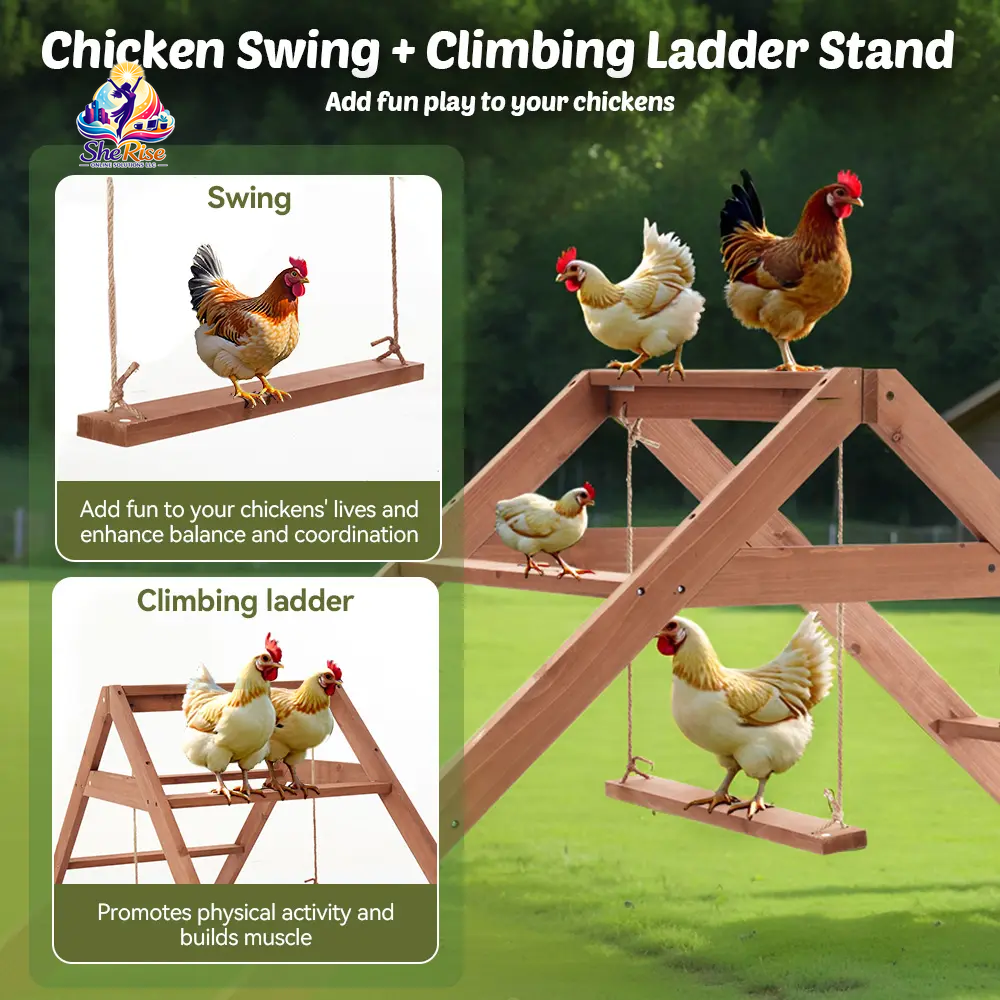 Transform Your Chicken Coop with Our Extra Large 69" Wooden Roosting Bars - Ideal for Fun and Relaxation! Easy Assembly & Maintenance!