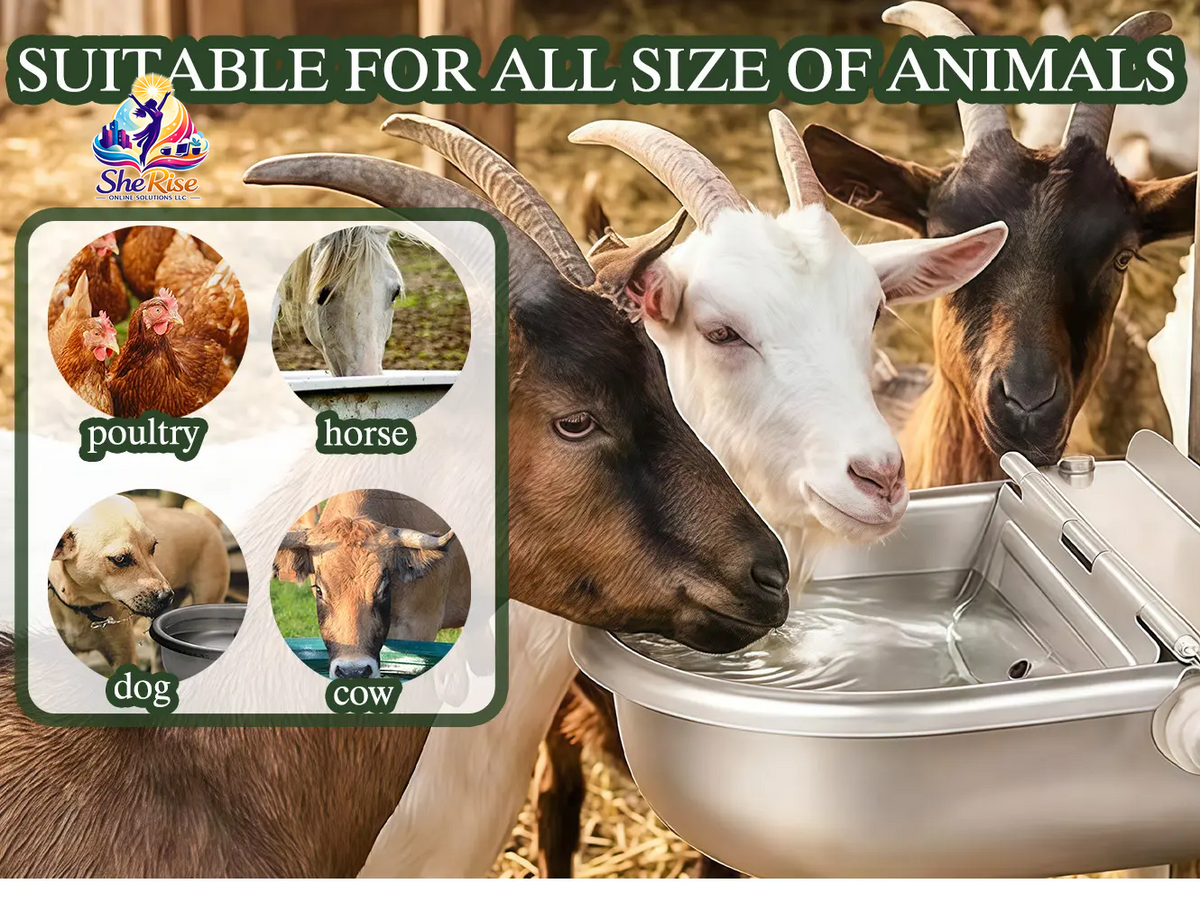 Revolutionize Pet Hydration with the No-Spill Stainless Steel Automatic Dog Waterer – Fresh Water on Demand for Dogs & Livestock!