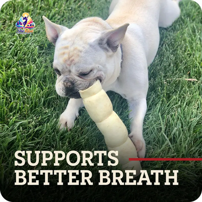 Irresistible Long-Lasting Beef Cheek Rolls for Dogs – A 100% Natural Chew Your Pup Will Adore!
