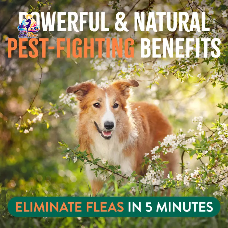 Say Goodbye to Fleas and Ticks with TropiClean's Natural Flea + Tick Home & Dog Spray - 32oz of Safe, Effective Protection for Your Pets!