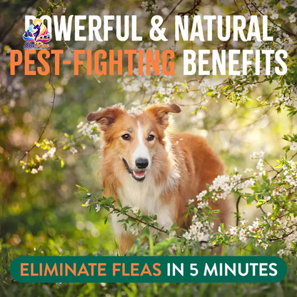 Say Goodbye to Fleas and Ticks with TropiClean's Natural Flea + Tick Home & Dog Spray - 32oz of Safe, Effective Protection for Your Pets!