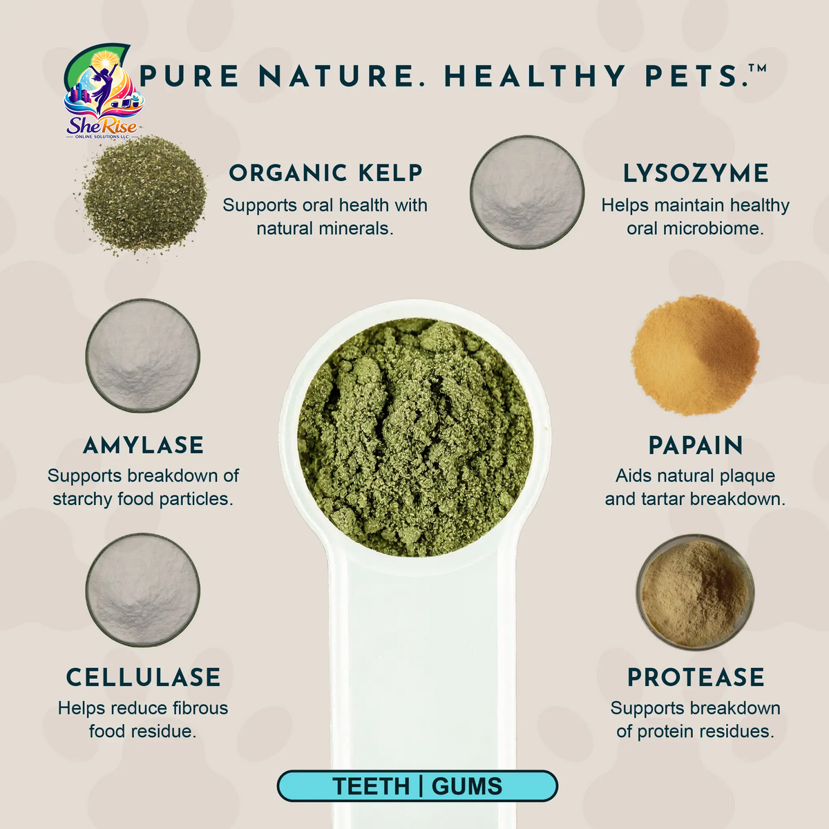 Say Goodbye to Plaque and Hello to Healthy Smiles! 🌟 Sea-Dent's Organic Dental Powder for Dogs & Cats with Natural Kelp & Enzymes for Optimal Oral Care 🦷❤️