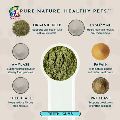Say Goodbye to Plaque and Hello to Healthy Smiles! 🌟 Sea-Dent's Organic Dental Powder for Dogs & Cats with Natural Kelp & Enzymes for Optimal Oral Care 🦷❤️