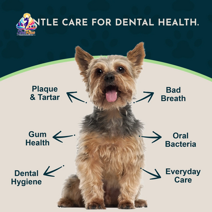 Say Goodbye to Plaque and Hello to Healthy Smiles! 🌟 Sea-Dent's Organic Dental Powder for Dogs & Cats with Natural Kelp & Enzymes for Optimal Oral Care 🦷❤️