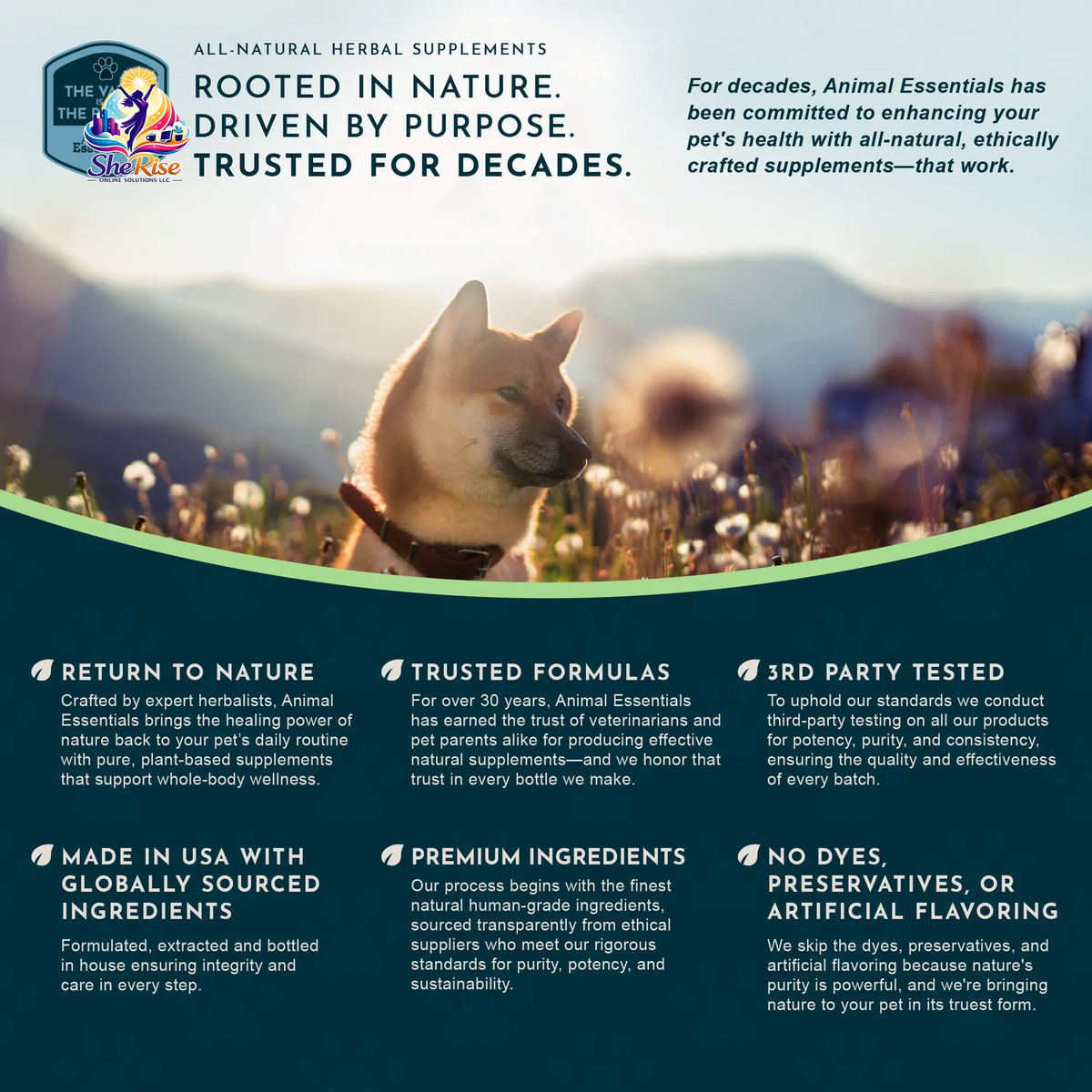 Say Goodbye to Plaque and Hello to Healthy Smiles! 🌟 Sea-Dent's Organic Dental Powder for Dogs & Cats with Natural Kelp & Enzymes for Optimal Oral Care 🦷❤️