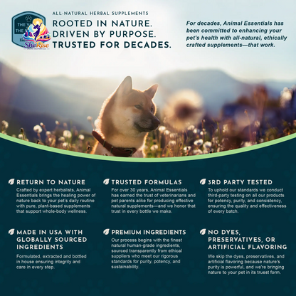 Say Goodbye to Plaque and Hello to Healthy Smiles! 🌟 Sea-Dent's Organic Dental Powder for Dogs & Cats with Natural Kelp & Enzymes for Optimal Oral Care 🦷❤️