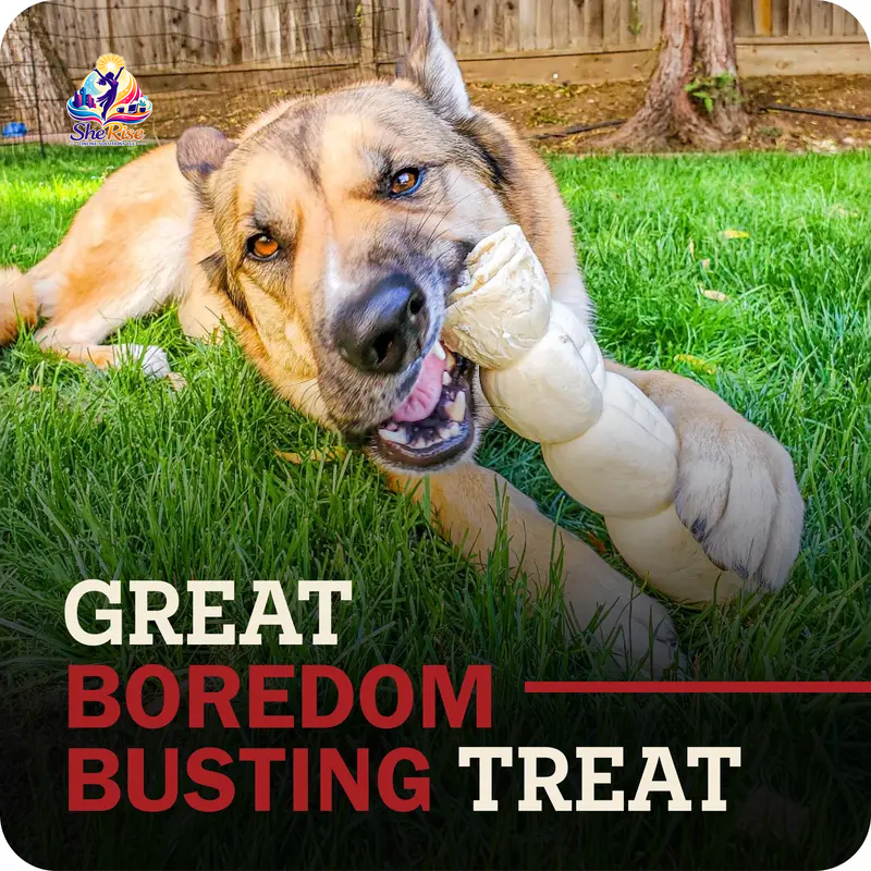 Irresistible Long-Lasting Beef Cheek Rolls for Dogs – A 100% Natural Chew Your Pup Will Adore!