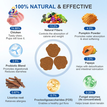 Boost Your Dog's Gut Health with Petnanny Probiotics! 🐾🍗 120 Tasty Soft Chews for Happy Tummies & Strong Immunity!💪 #PetNanny #DogHealth