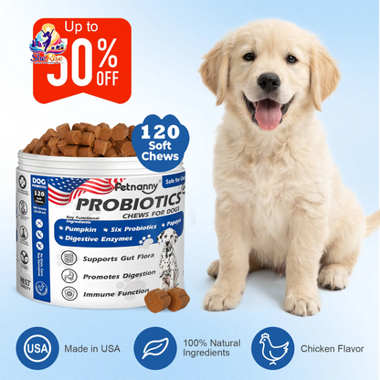 Boost Your Dog's Gut Health with Petnanny Probiotics! 🐾🍗 120 Tasty Soft Chews for Happy Tummies & Strong Immunity!💪 #PetNanny #DogHealth