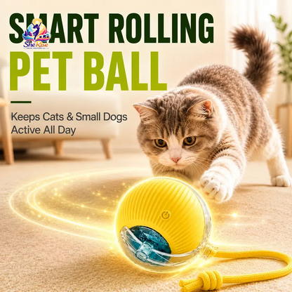 Unleash Adventure with the Ultimate Smart Chew-Resistant Dog Ball - Perfect for Indoor Fun & Outdoor Excitement!