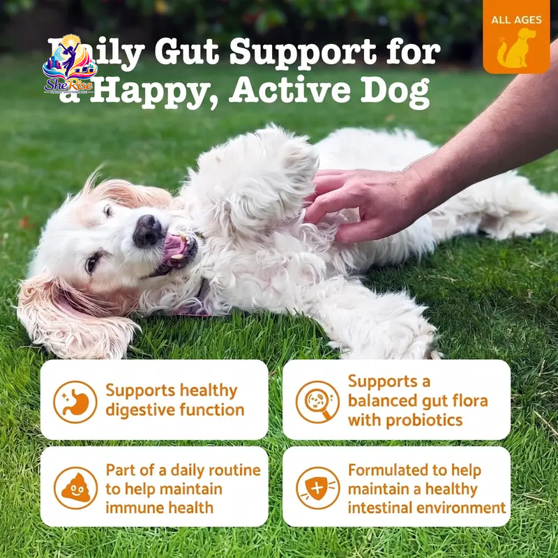 Happy Tummies Chewy Dog Probiotics - Chicken Flavor, 90 Delicious Chews for Digestive & Immune Support - Perfect for All Ages!