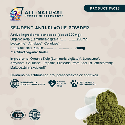 Say Goodbye to Plaque and Hello to Healthy Smiles! 🌟 Sea-Dent's Organic Dental Powder for Dogs & Cats with Natural Kelp & Enzymes for Optimal Oral Care 🦷❤️