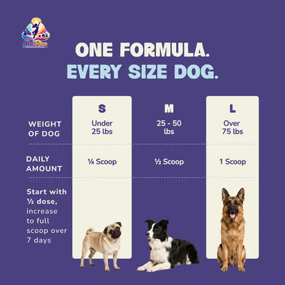 Transform Your Pup's Flea Season: Say Goodbye to Itchy Skin with Our Delicious Hickory Bacon Food Topper! 60 Servings of Flea-Bite Relief in Every Bottle!