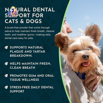Say Goodbye to Plaque and Hello to Healthy Smiles! 🌟 Sea-Dent's Organic Dental Powder for Dogs & Cats with Natural Kelp & Enzymes for Optimal Oral Care 🦷❤️