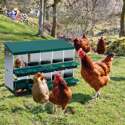 Upgrade Your Poultry Game with the GARVEE 2-Tier Galvanized Steel Chicken Nesting Box! 🐔🌱 Perfect for all seasons, features removable lid, rollaway tray & built-in ventilation! 🥚✨ #ChickenCoop #FarmLife #EggLayingHelper