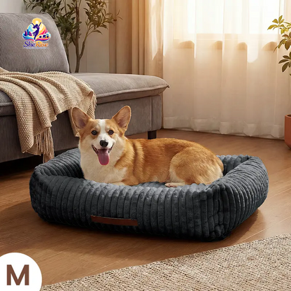 Snag the Ultimate Claw-Safe Fleece Cat Couch Bed! 🐾 All Sizes, 3 Styles, and SO comfy! 🛏️✨ Machine-Washable, Memory Foam, and Car Seat Ready! Perfect for your furry friend! 💖😺 #CatLovers #PetComfort